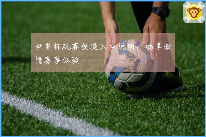 世界杯观赛便捷入口说明，畅享激情赛事体验
