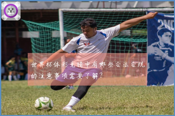 世界杯体彩竞猜中有哪些合法合规的注意事项需要了解？
