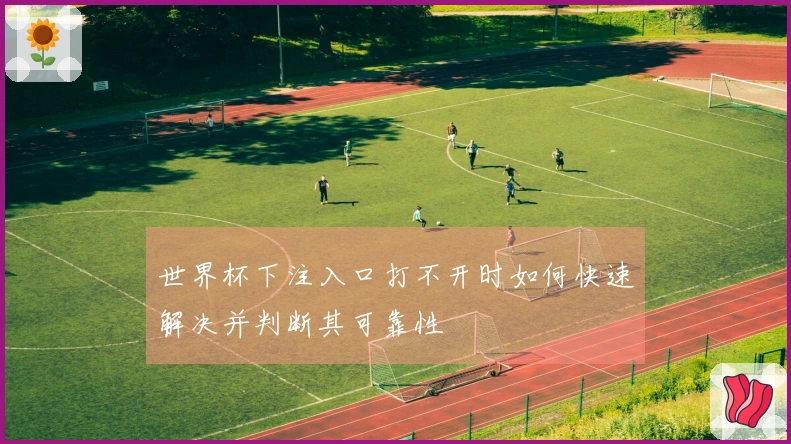 世界杯下注入口打不开时如何快速解决并判断其可靠性