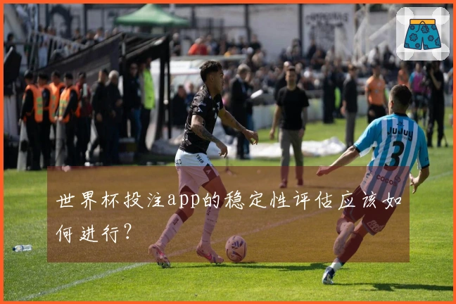 世界杯投注app的稳定性评估应该如何进行？
