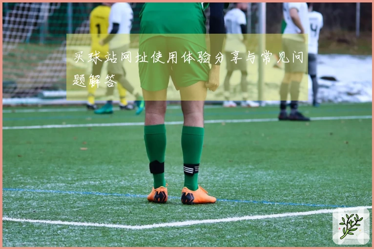 买球站网址使用体验分享与常见问题解答