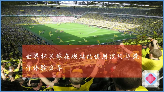 世界杯买球在线站的使用技巧与操作体验分享