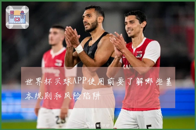 世界杯买球APP使用前要了解哪些基本规则和风险陷阱