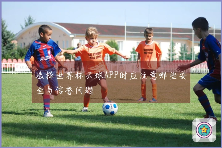 选择世界杯买球APP时应注意哪些安全与信誉问题