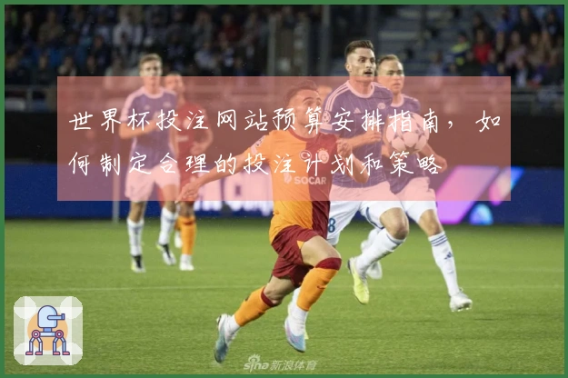 世界杯投注网站预算安排指南，如何制定合理的投注计划和策略