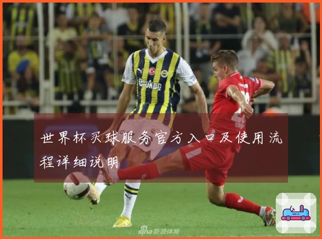 世界杯买球服务官方入口及使用流程详细说明