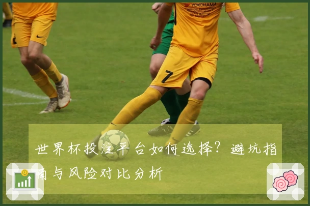世界杯投注平台如何选择？避坑指南与风险对比分析