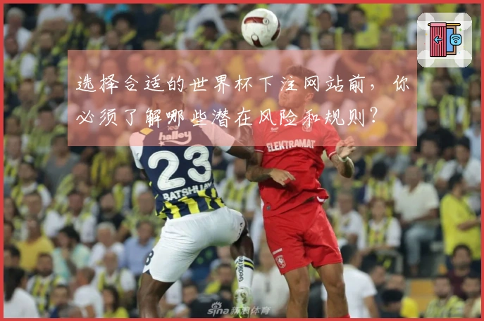 选择合适的世界杯下注网站前，你必须了解哪些潜在风险和规则？