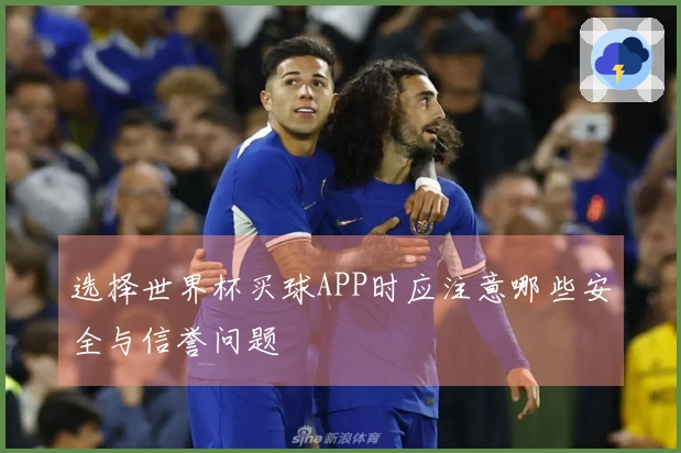 选择世界杯买球APP时应注意哪些安全与信誉问题