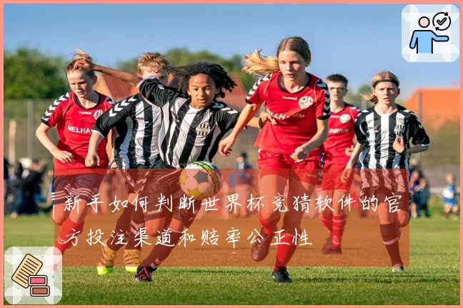 新手如何判断世界杯竞猜软件的官方投注渠道和赔率公正性