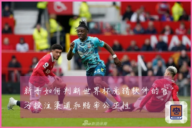 新手如何判断世界杯竞猜软件的官方投注渠道和赔率公正性
