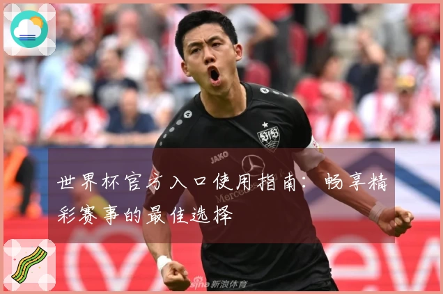 世界杯官方入口使用指南：畅享精彩赛事的最佳选择
