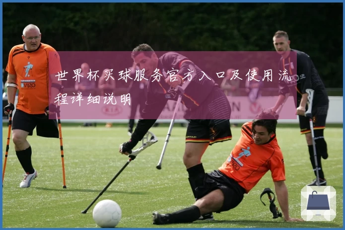 世界杯买球服务官方入口及使用流程详细说明