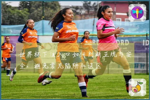 世界杯下注入口如何判断正规与安全，避免常见陷阱和误区