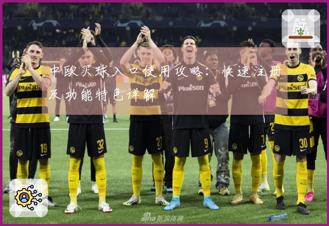 中欧买球入口使用攻略：快速注册及功能特色详解
