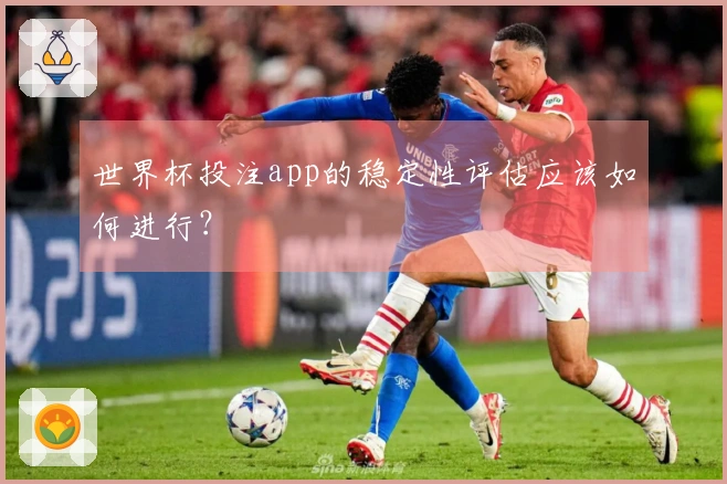 世界杯投注app的稳定性评估应该如何进行？