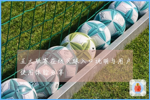 五大联赛在线买球入口说明与用户使用体验分享