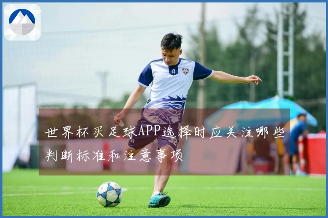 世界杯买足球APP选择时应关注哪些判断标准和注意事项