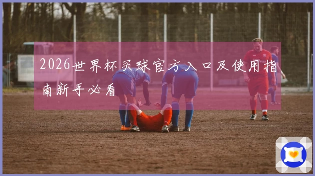 2026世界杯买球官方入口及使用指南新手必看