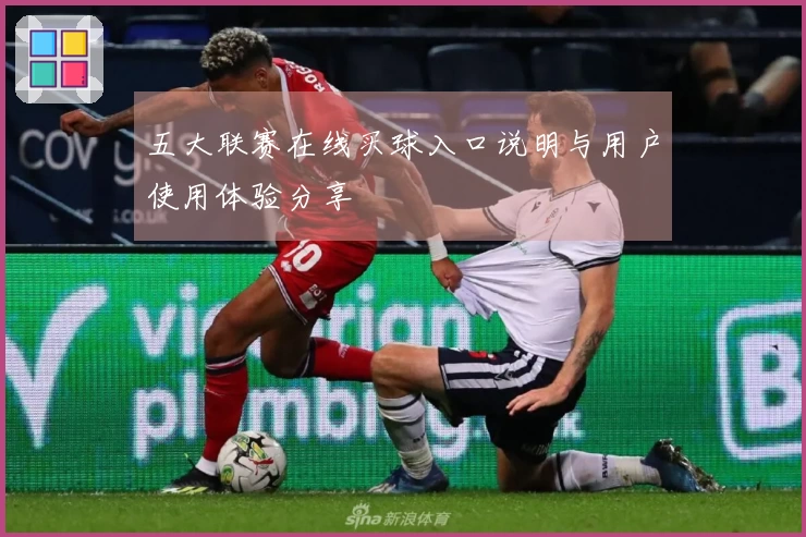 五大联赛在线买球入口说明与用户使用体验分享