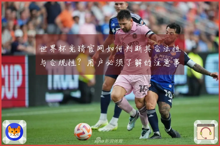 世界杯竞猜官网如何判断其合法性与合规性？用户必须了解的注意事项